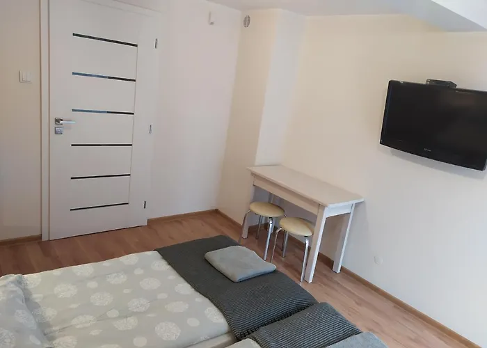 Homestay Blisko Opener Festival